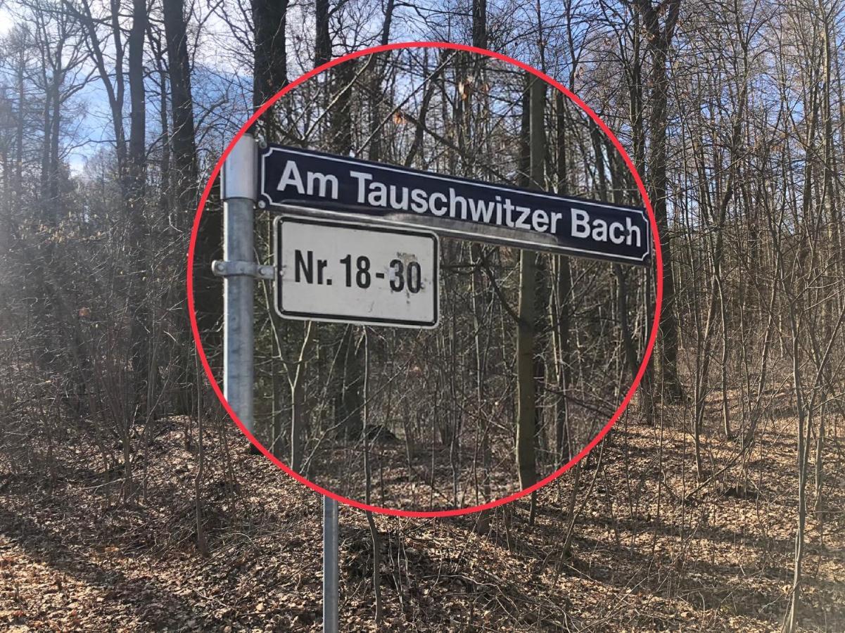 Garnsdorf Residenz Waldfrieden 빌라 외부 사진